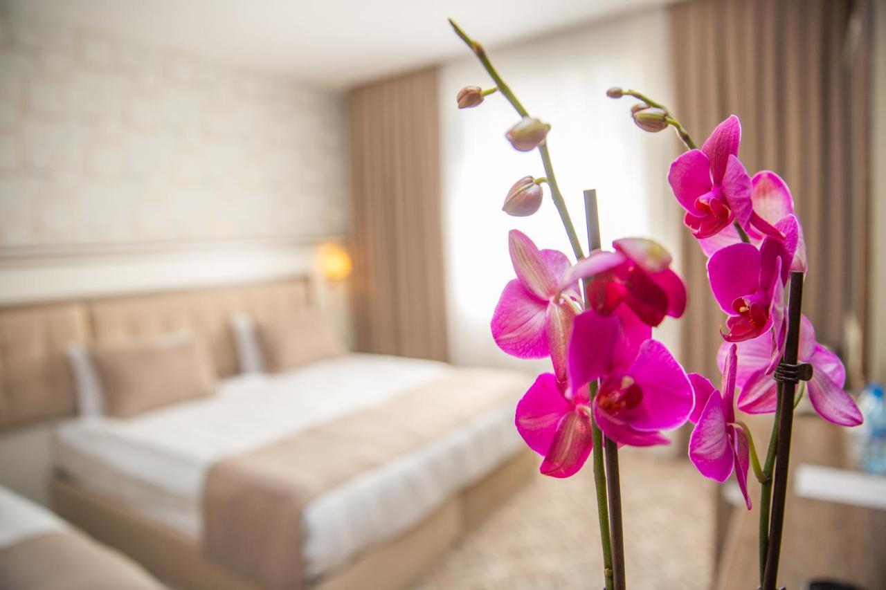 באקו Alba Hotel & Spa מראה חיצוני תמונה